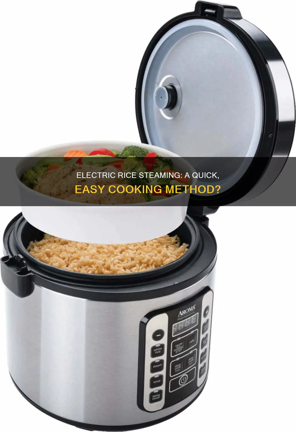 can i cook rice in an electric steamer