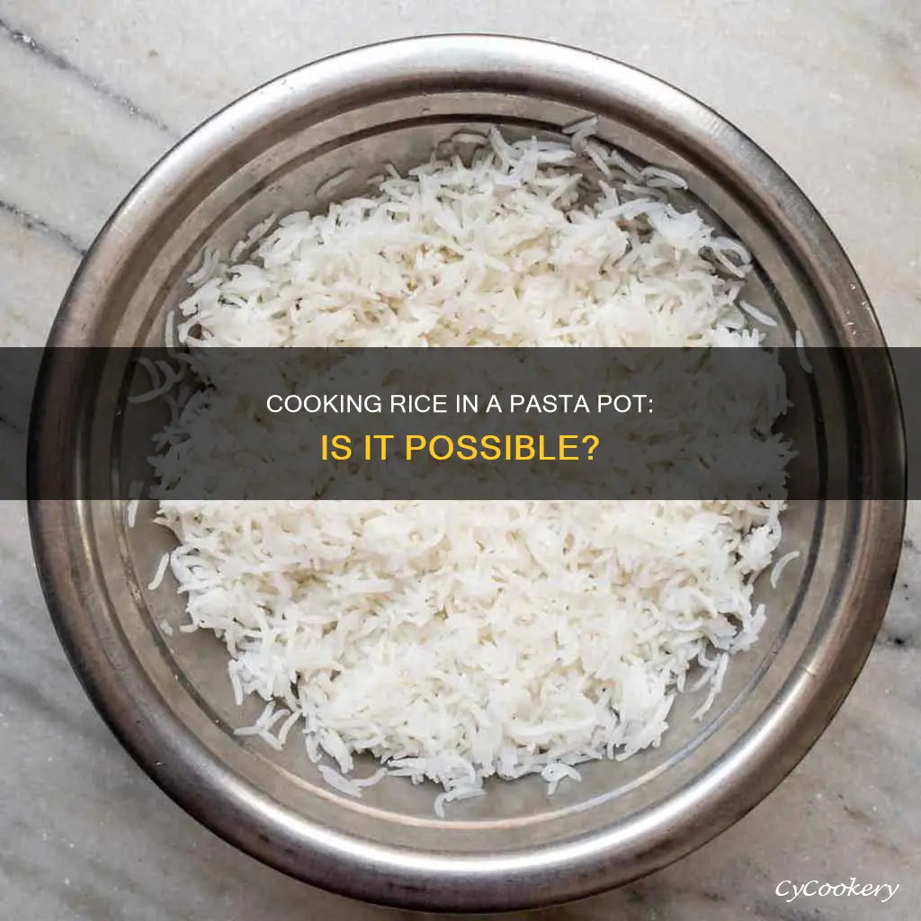 can I cook rice in pasta pot