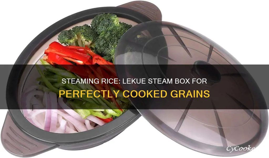 can i cook rice in the lekue steam box