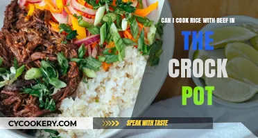 Beef and Rice: Slow-Cooked Perfection