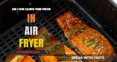 Air Fryer Salmon: Cooking Frozen Fish to Perfection