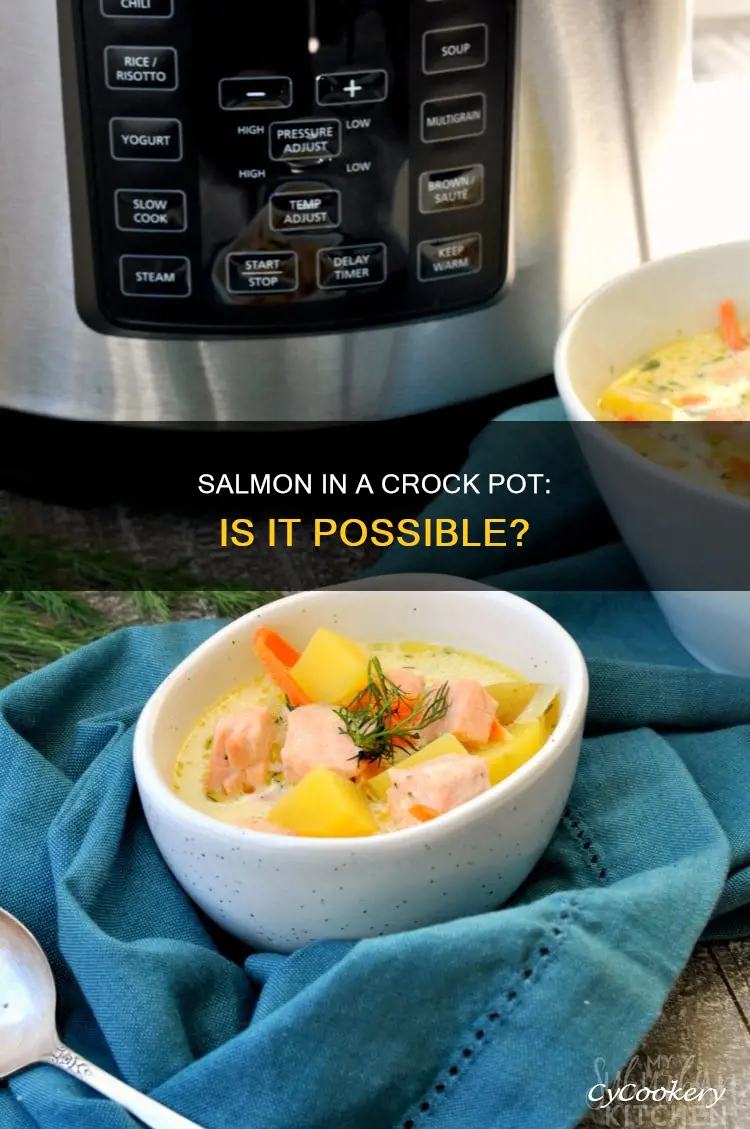 can I cook salmon in a crock pot