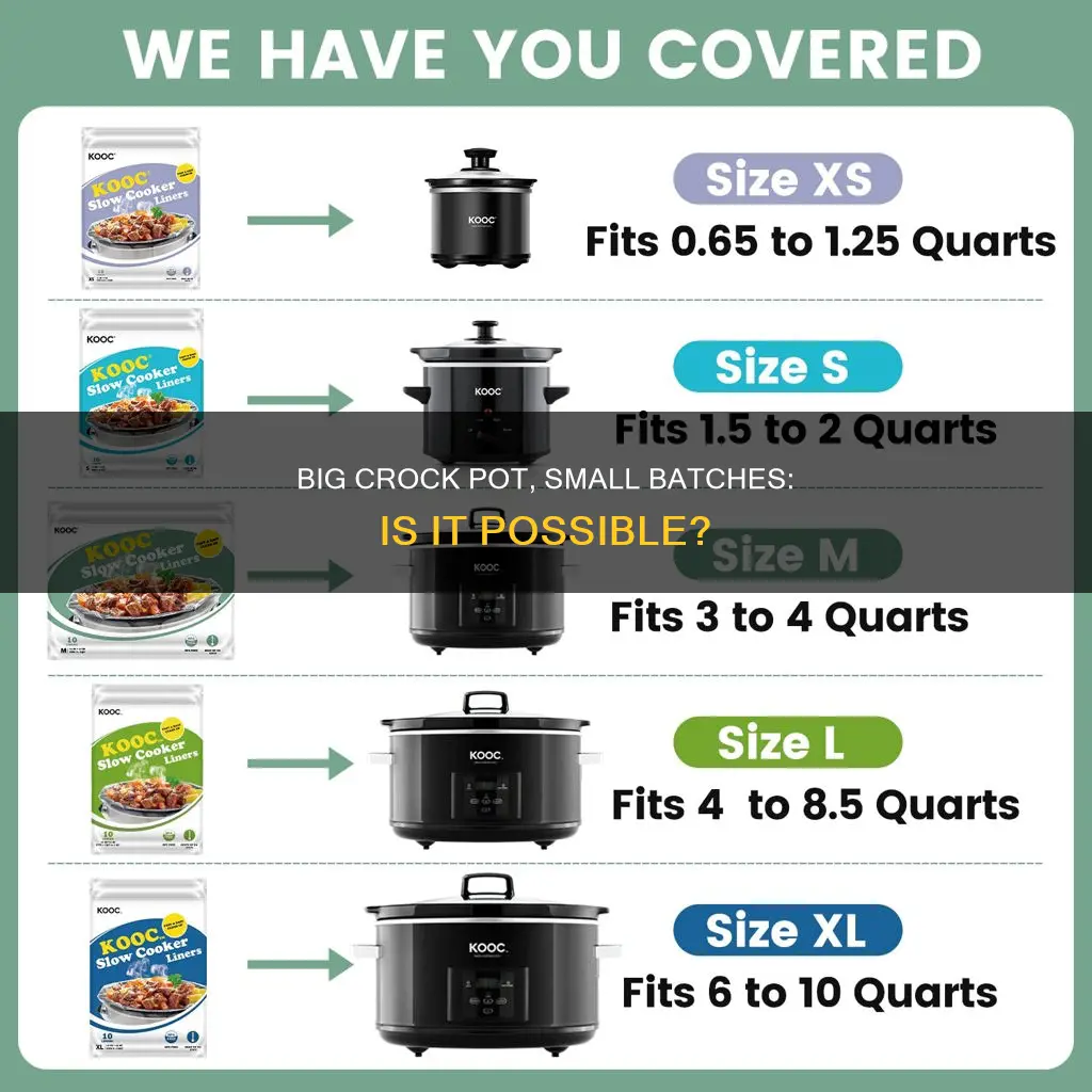 can I cook small batches in a big cock pot