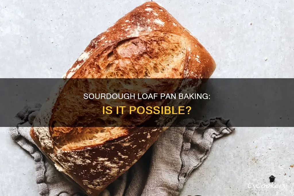 can I cook sourdough in a loaf pan