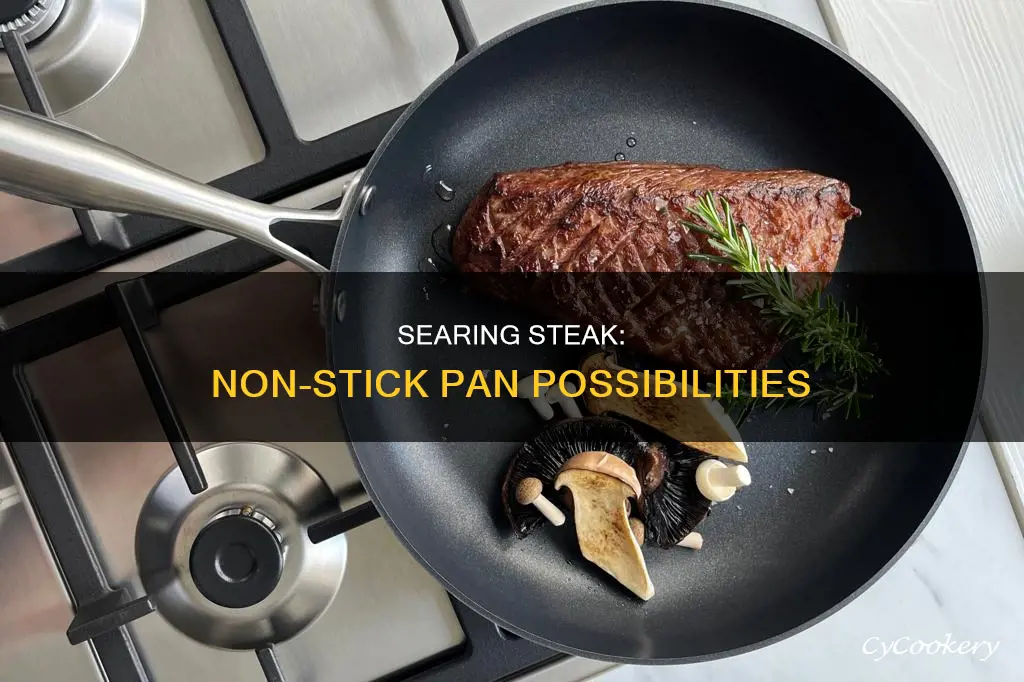 can I cook steak in a non stick pan