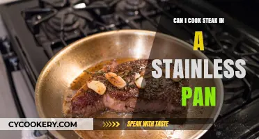 Stainless Pan Steak: Is It Possible?