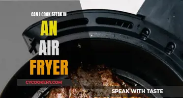 Air Fryer Steak: Can You Cook It?