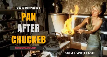 Cooking After Chucking: Can Pans Take the Heat?