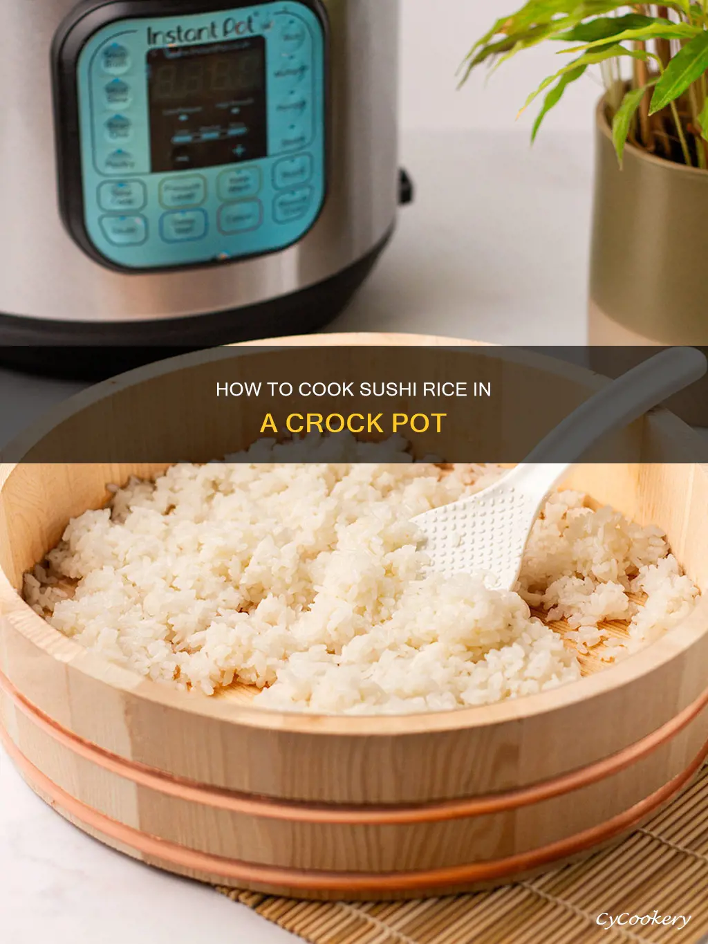 can I cook sushi rice in a crock pot