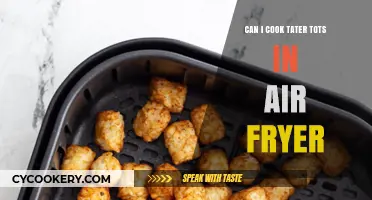 Crispy Tater Tot Transformation: Air Fryer Magic