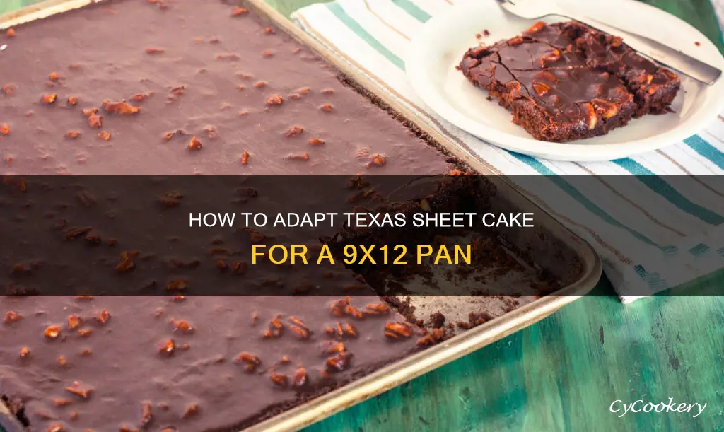 can I cook texas sheet cake 9x12 pan