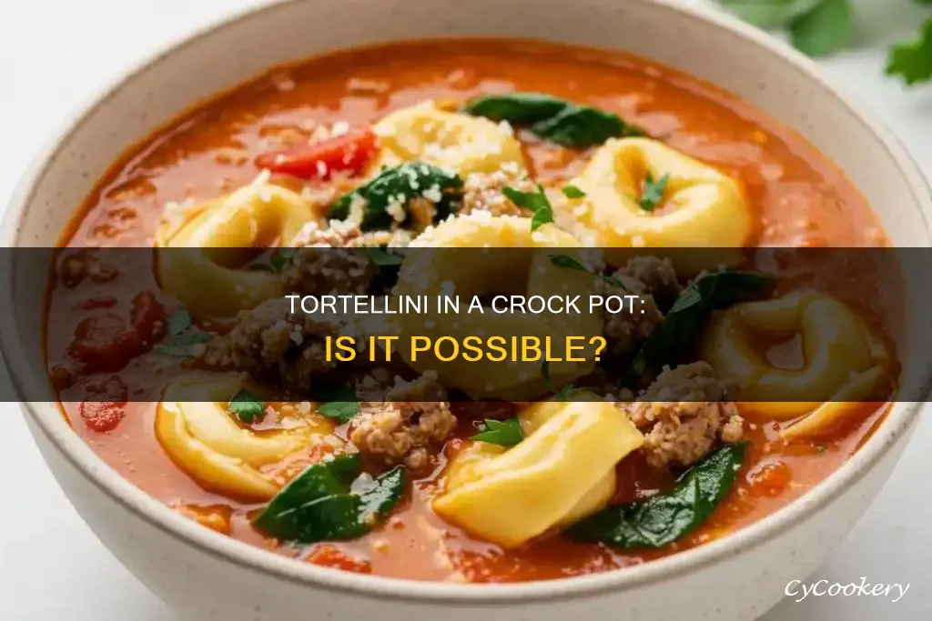can I cook tortellini in a crock pot