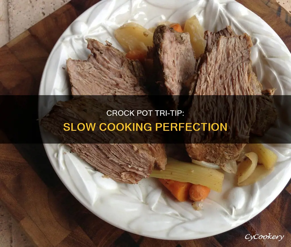 can I cook tri tip in the crock pot