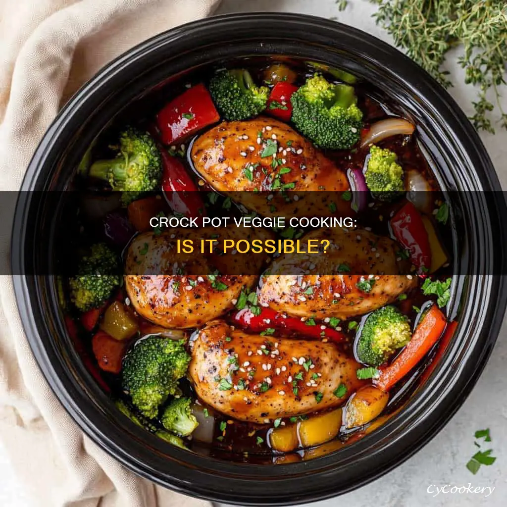 can I cook vegetables in a crock pot
