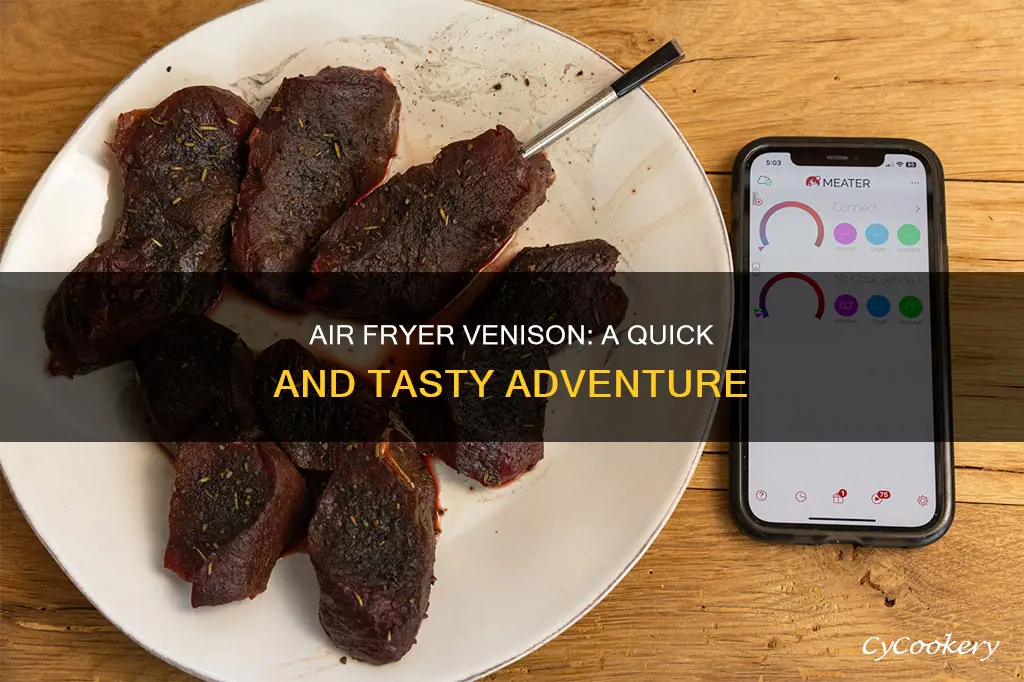 can i cook venison in an air fryer