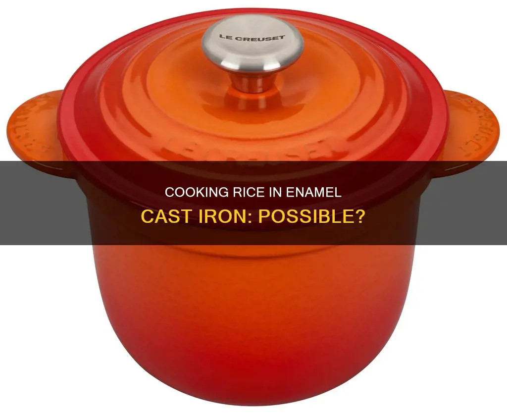 can I cook white rice in enamel cast iron pan