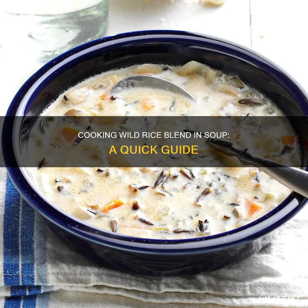 can i cook wild rice blend in a soup