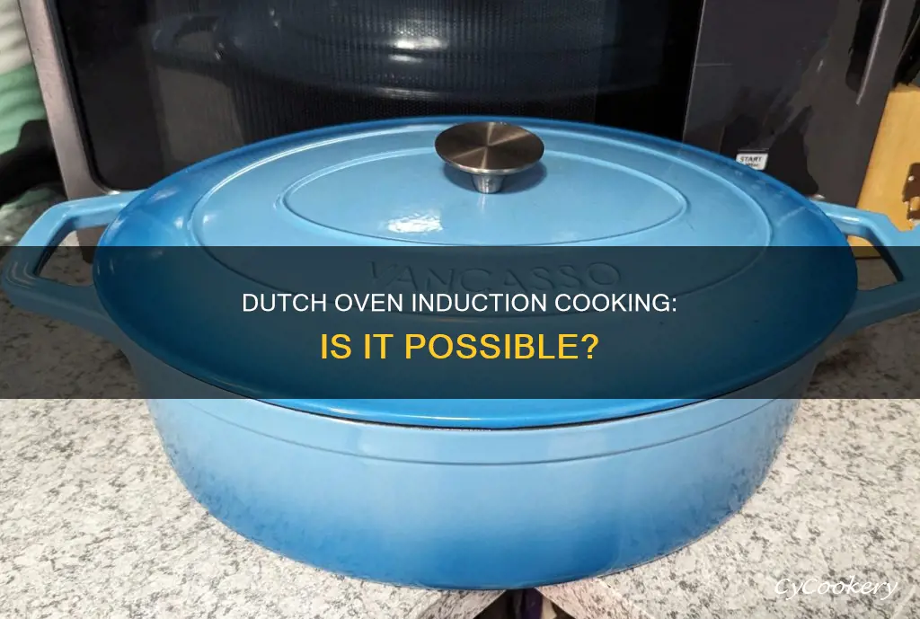can I cook with a dutch oven pot on induction