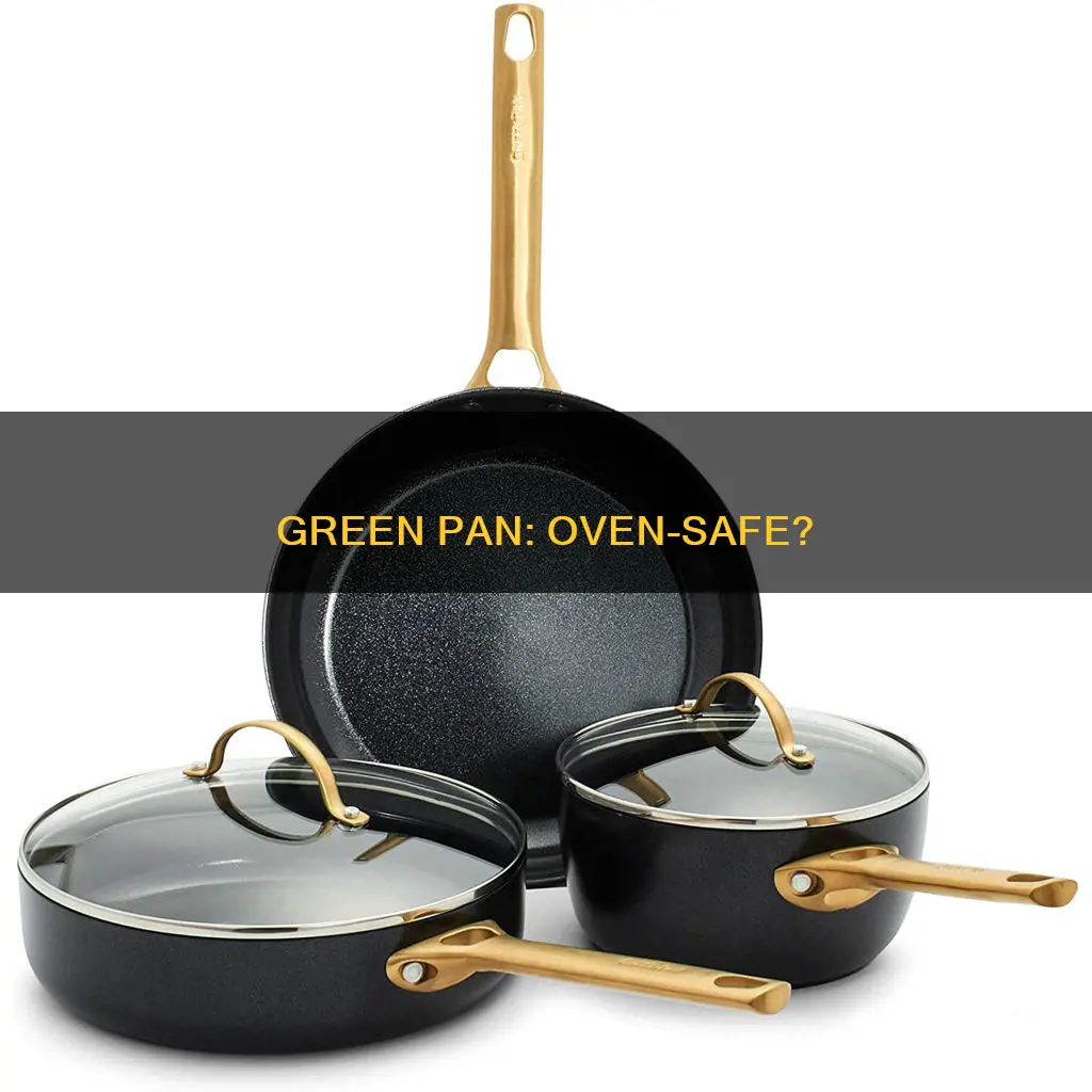 can I cook with green pan in the oven