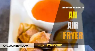 Crispy Wontons: Air Fryer Cooking Made Easy