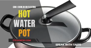 Electric Hot Water Pot: A Versatile Cooking Companion?