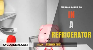 Cooling Pigs in Fridges: Safe, Ethical, or Harmful Practice?