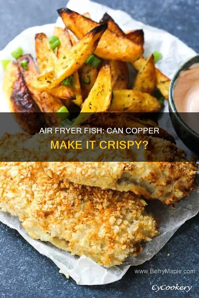 can i copper air fryer battered fish