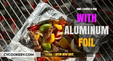 Aluminum Foil: Pan Covering Substitute or Not?