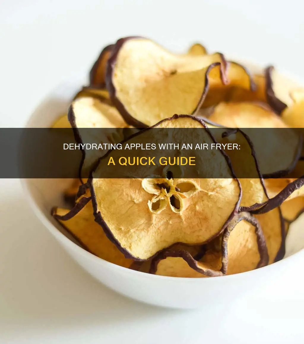 can i dehydrate apples in a air fryer