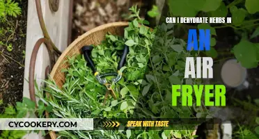 Dehydrating Herbs with an Air Fryer: A Quick Guide