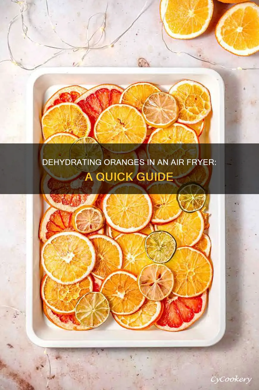 can i dehydrate oranges in the air fryer