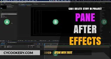 Deleting Items in After Effects: A Guide to the Project Pane