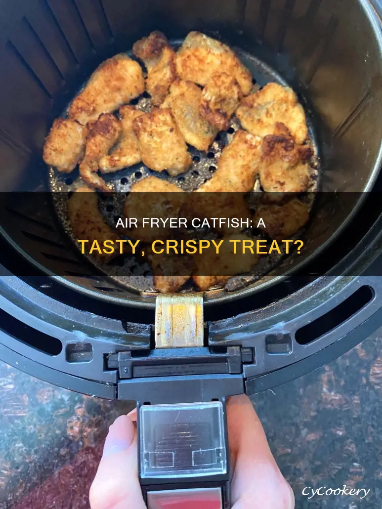 can i do catfish in a air fryer