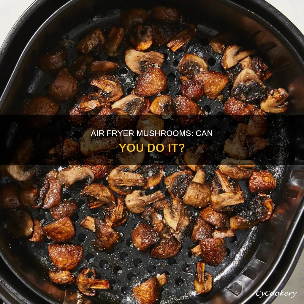 can i do mushrooms in air fryer