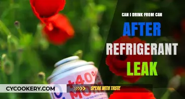 Refrigerant Leak: Is It Safe to Drink from the Can?