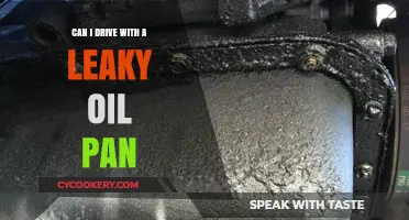 Driving with a Leaky Oil Pan: Safe or Not?