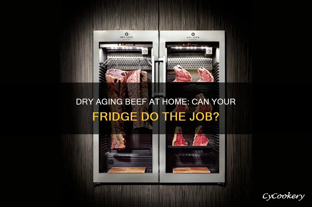 can i dry age beef in my refrigerator