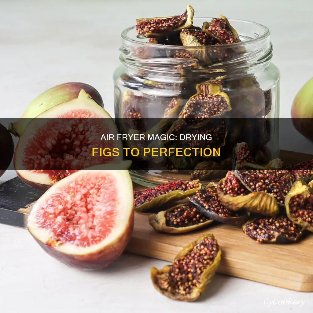 can i dry figs in an air fryer