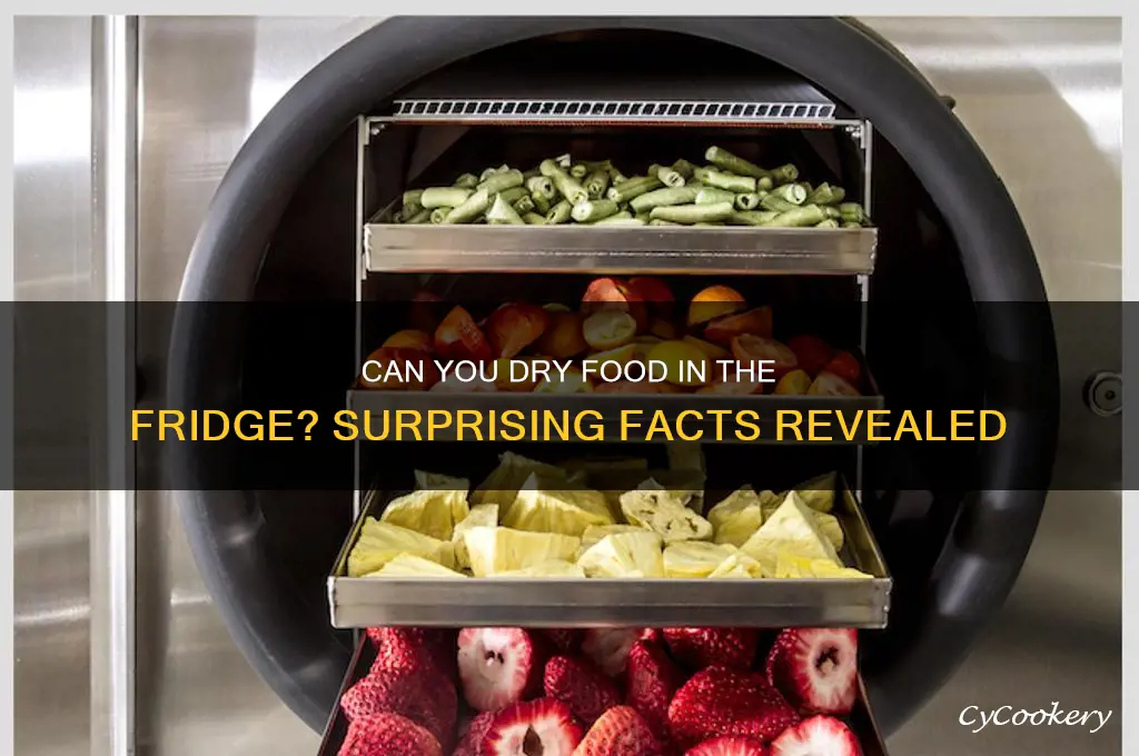 can i dry stuff in refrigerator