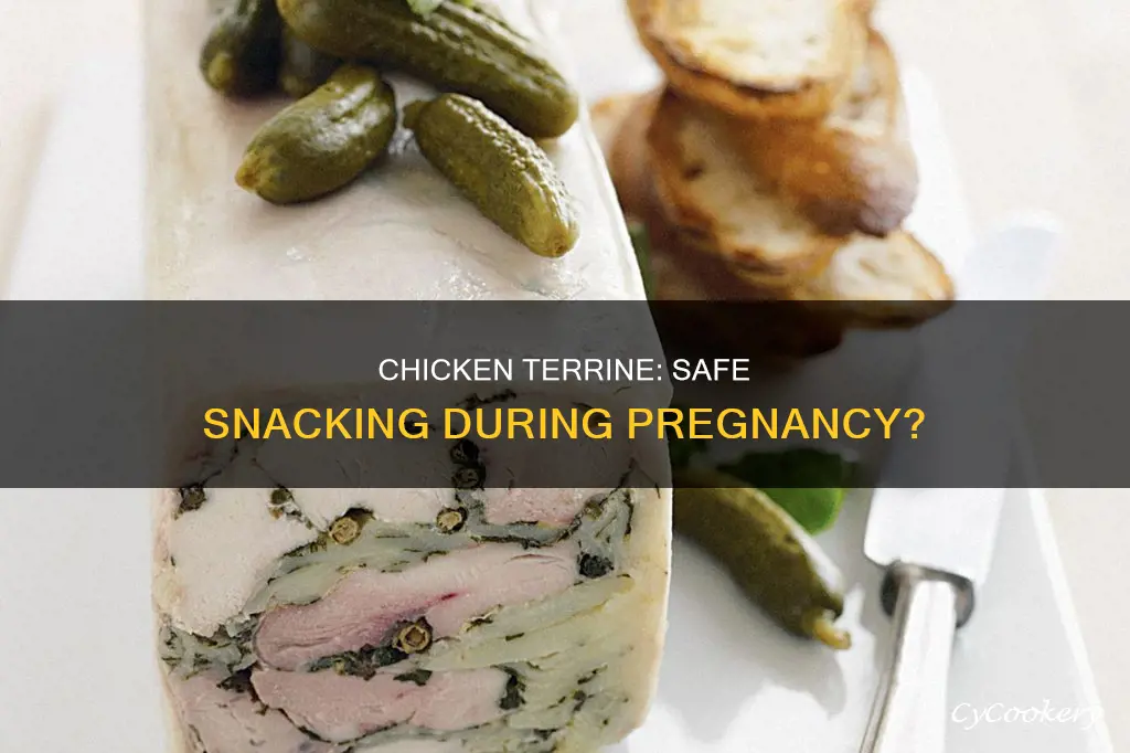 can i eat chicken terrine when pregnant