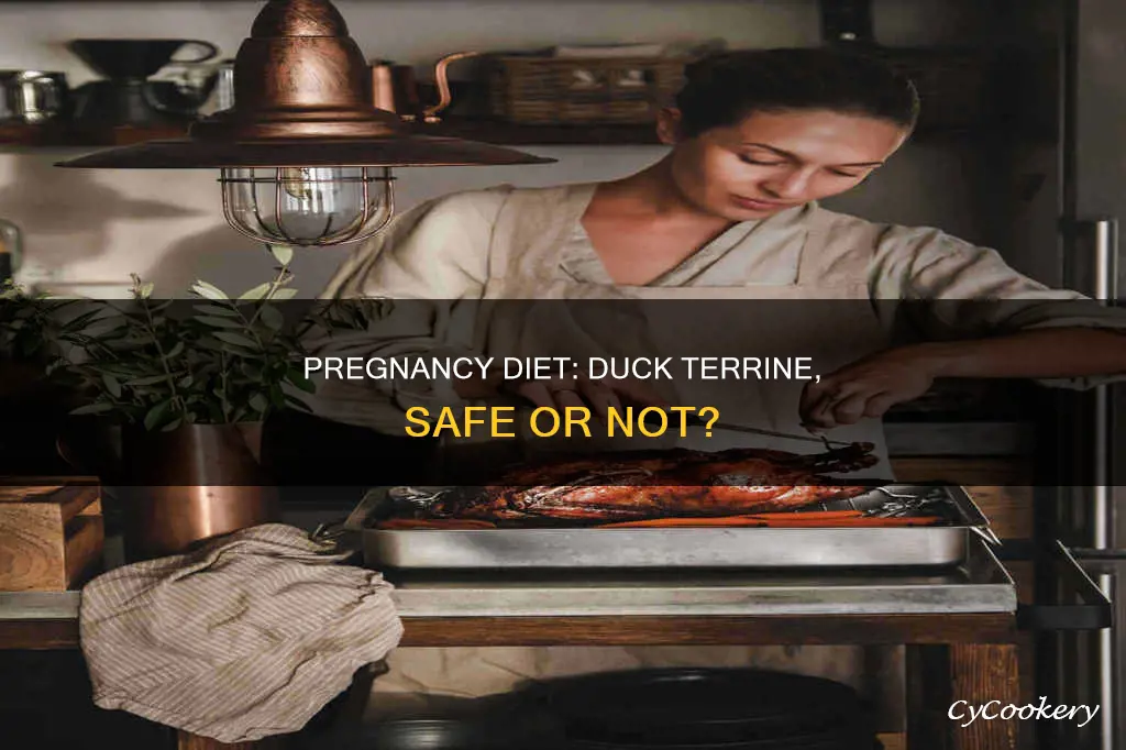 can i eat duck terrine when pregnant