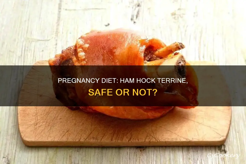 can i eat ham hock terrine when pregnant