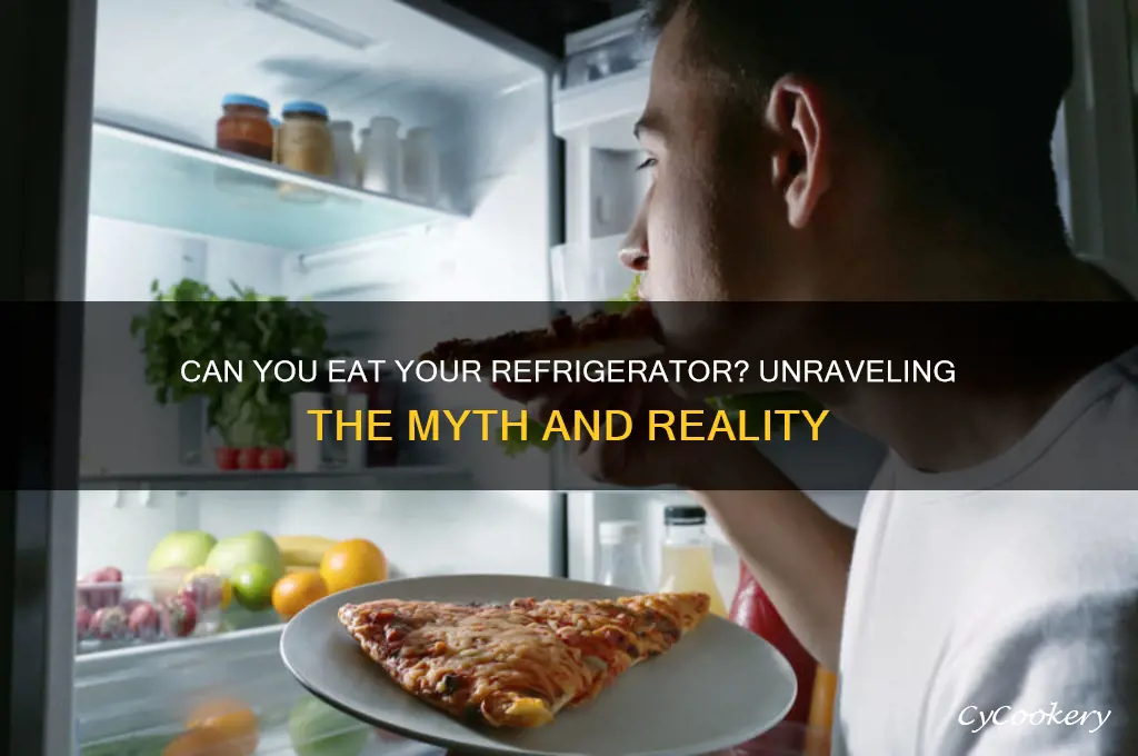 can i eat my refrigerator