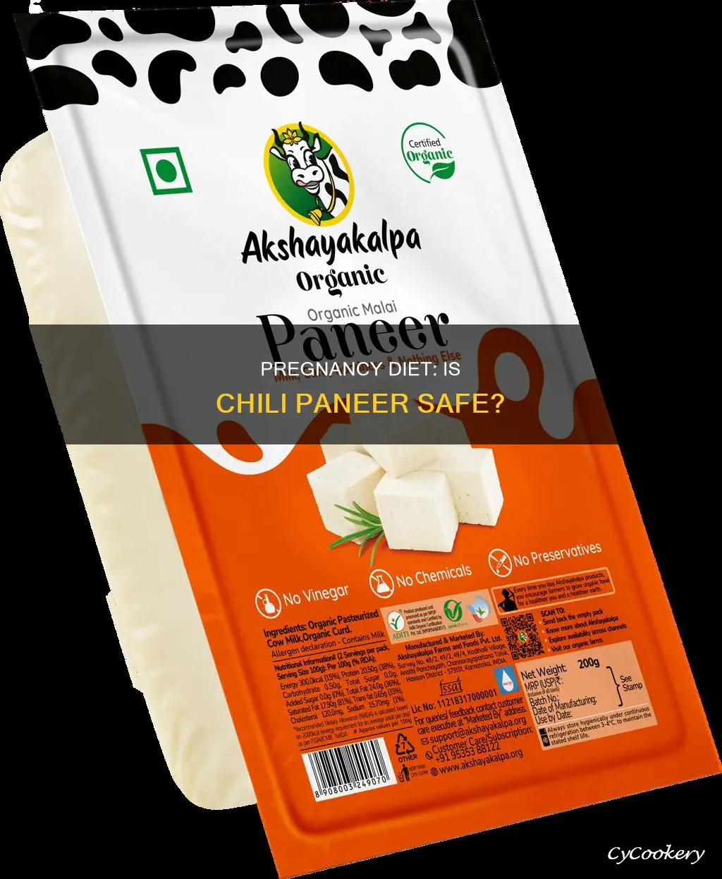 can I eat paneer chilli during pregnancy