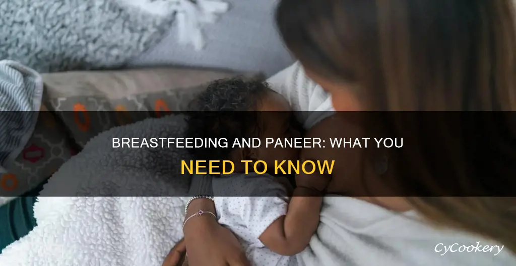 can I eat paneer during breastfeeding