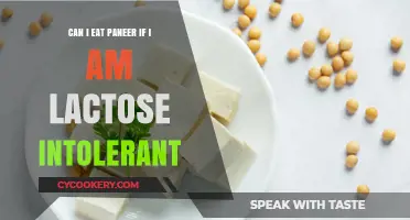 Lactose Intolerant but Love Paneer?
