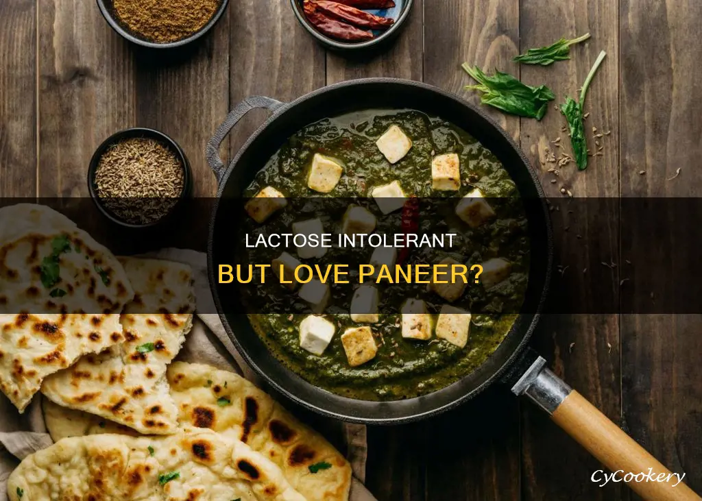 can I eat paneer if I am lactose intolerant