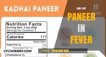 Foods to Eat and Avoid During Fever: Can I Eat Paneer?