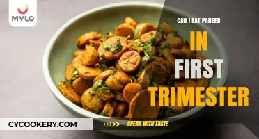 Eating Paneer During the First Trimester: Is It Safe?