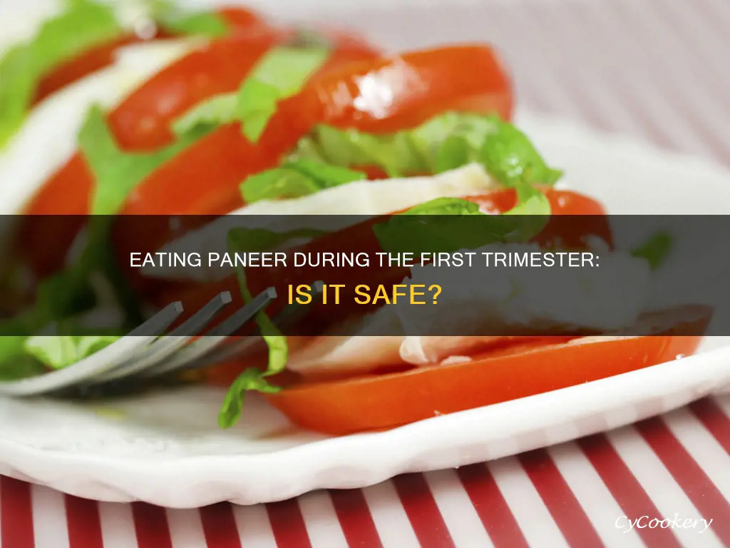 can I eat paneer in first trimester
